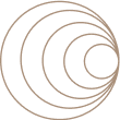 Shape 1